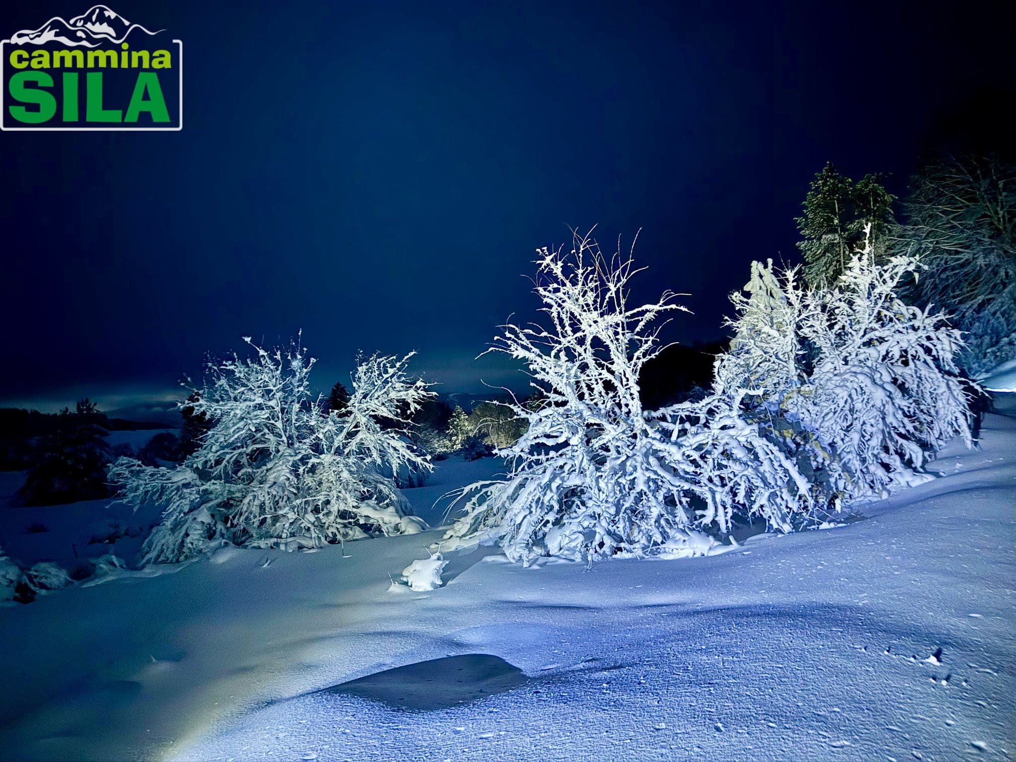 Sila neve ph Cammina Sila 9 - Meraviglie di Calabria - 18