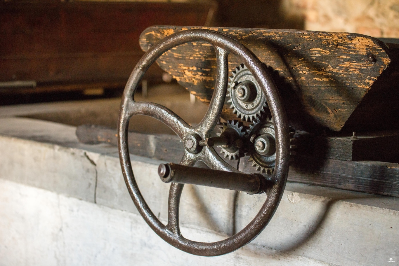 librandi museo ph luca savettiere 2 - Meraviglie di Calabria - 6