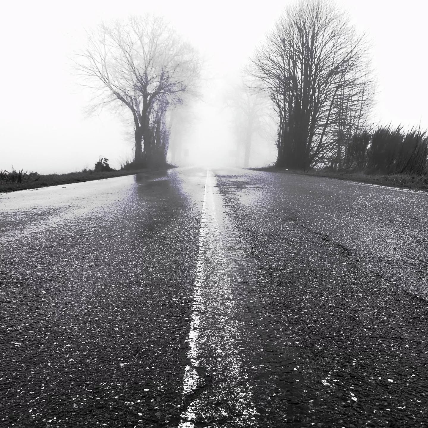 626413255 18559067782023051 114559595273617935 n - Meraviglie di Calabria - 6