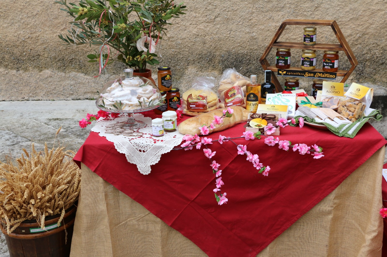 Aiello Calabro Linea Verde Illumina 7 - Meraviglie di Calabria - 18