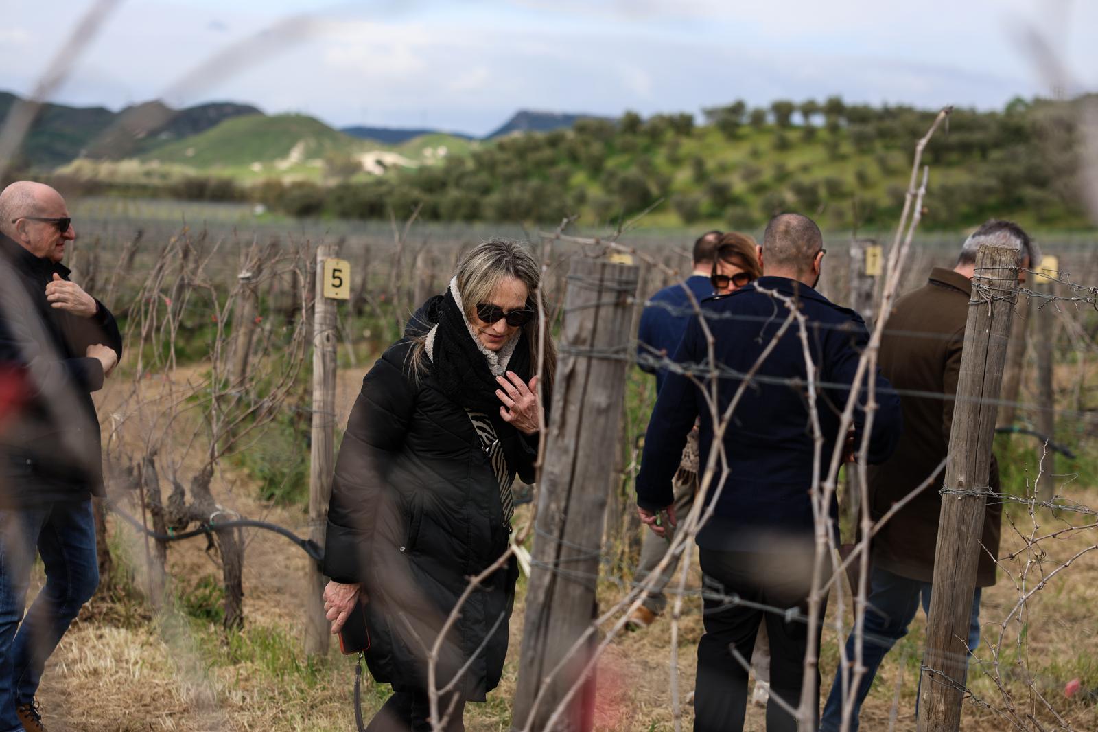 CMB tour Rosaneti Librandi 3 - Cirò, il CMB alla scoperta della biodiversità vinicola della Calabria - 5 CMB tour Rosaneti Librandi 3 - Meraviglie di Calabria - 4