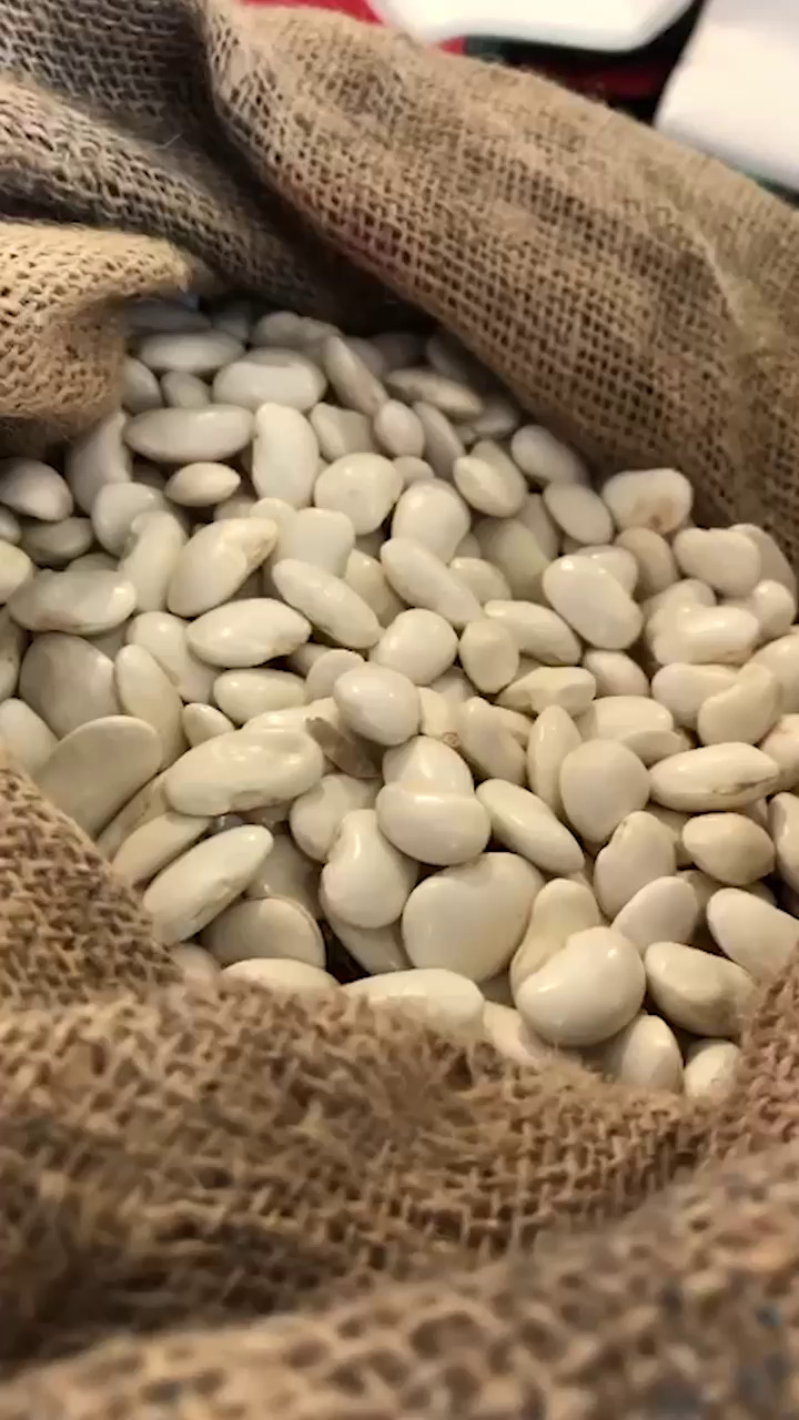 Fagioli Pappaluni 1 - Al via Terra Madre 2026, a Torino la magnifica biodiversità calabrese - 17 Fagioli Pappaluni 1 - Meraviglie di Calabria - 16