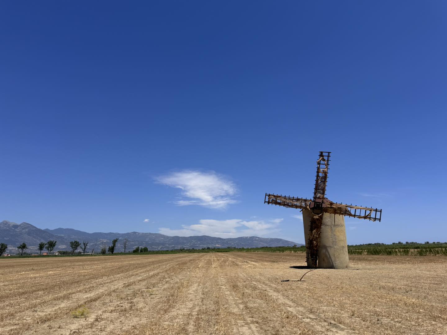 Film Don Chisciotte set Piana di Sibari 5 - Il Don Chisciotte di Alessio Boni tra i sacri paesaggi di Calabria e Basilicata - 7 Film Don Chisciotte set Piana di Sibari 5 - Meraviglie di Calabria - 6