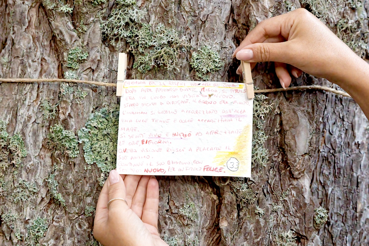 Hyle Book Festival, cartoline dalla Calabria che fioriscono in tutta Italia