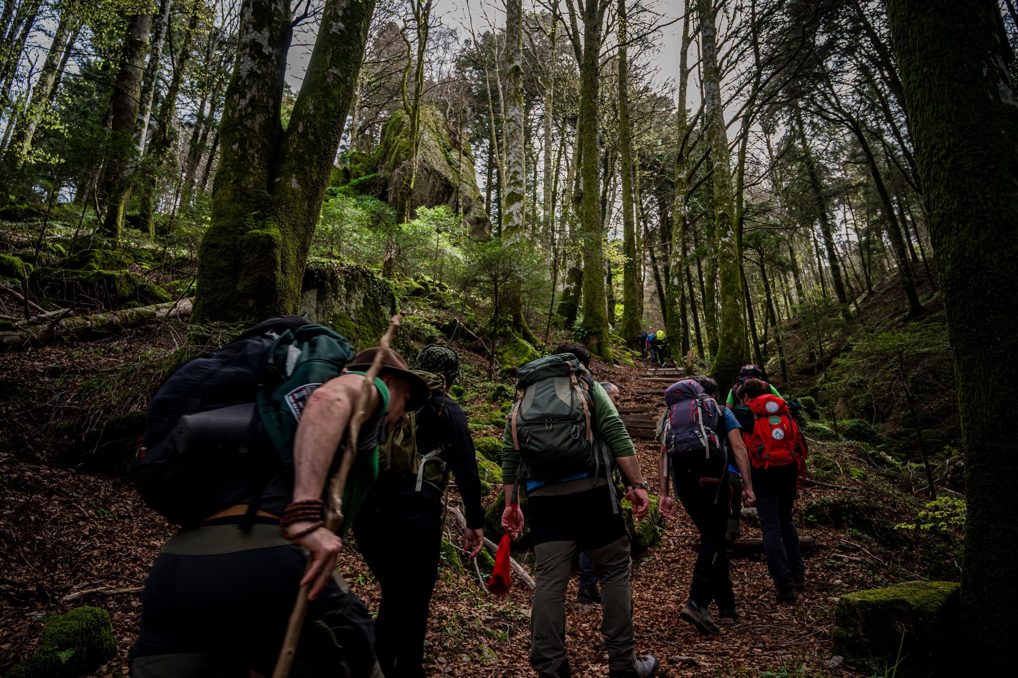 Guide Parco Calabria, oggi a Gambarie il quinto incontro annuale