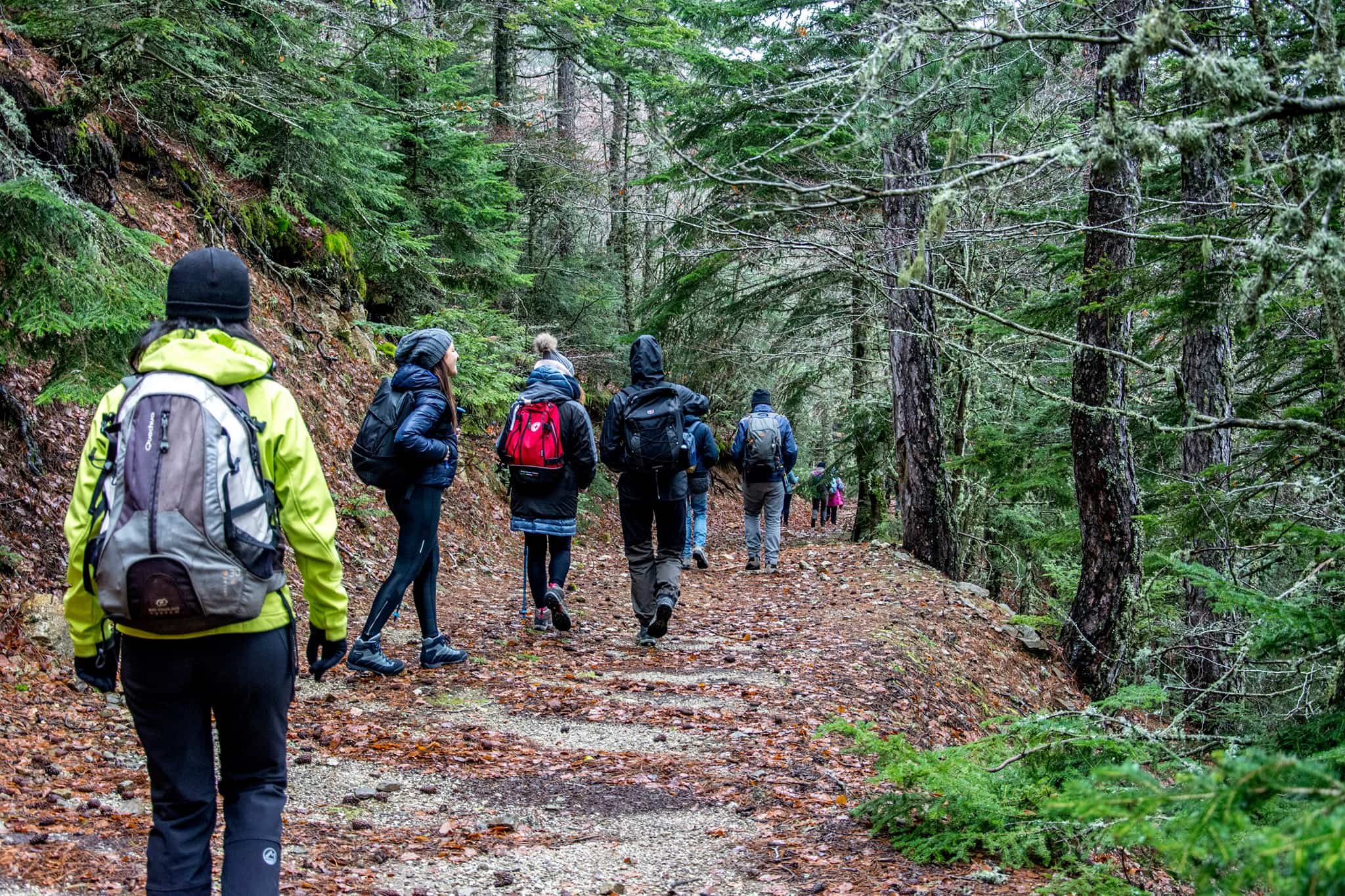 Montagna escursioni Guide Parco Calabria 3 - Meraviglie di Calabria - 2