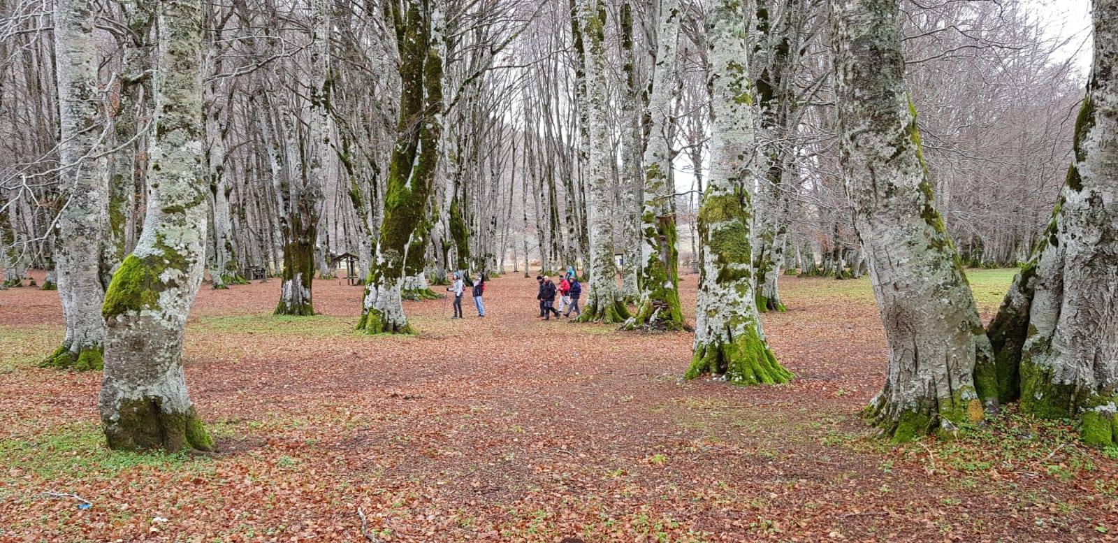 Montagna escursioni Guide Parco Calabria 4 - Meraviglie di Calabria - 6