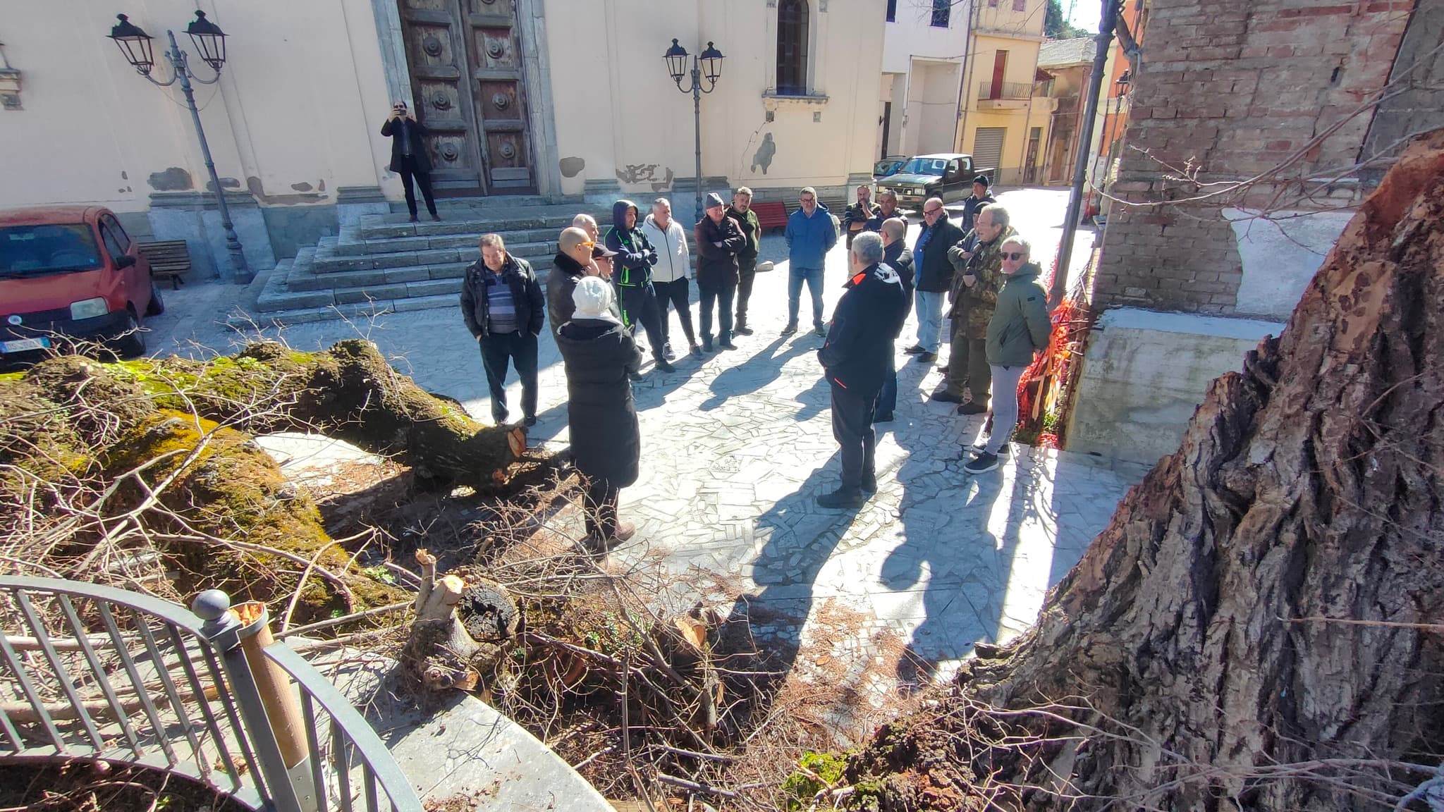 Olmo di San Lorenzo Ph Alfonso Picone Chiodo 1 - Meraviglie di Calabria - 18