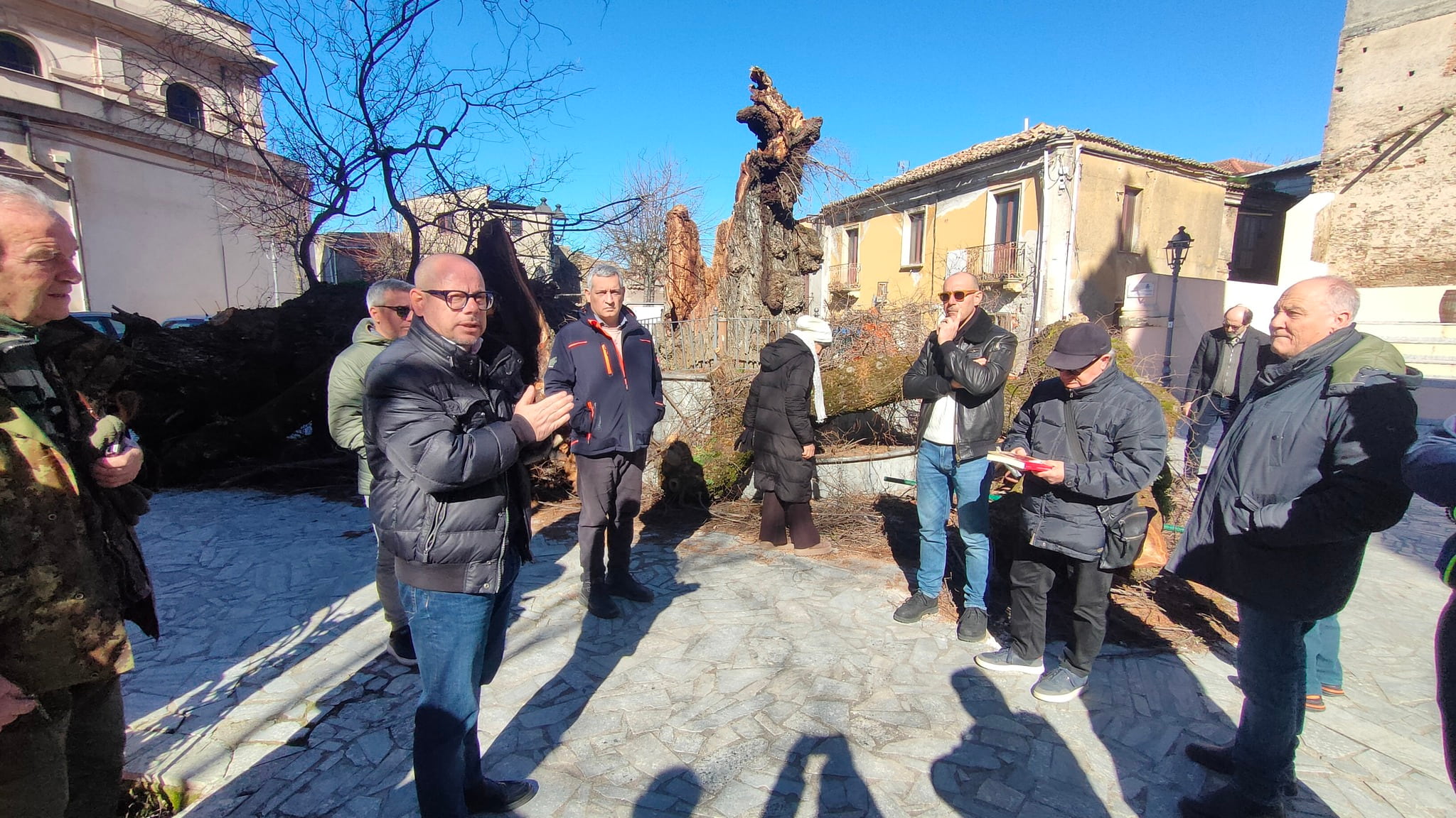 Olmo di San Lorenzo Ph Alfonso Picone Chiodo 3 - Meraviglie di Calabria - 20