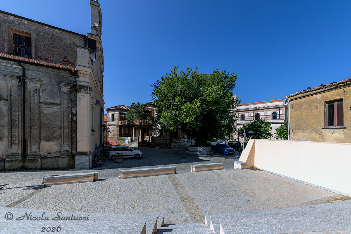 Olmo di San Lorenzo Ph Nicola Santucci 1 - Meraviglie di Calabria - 14