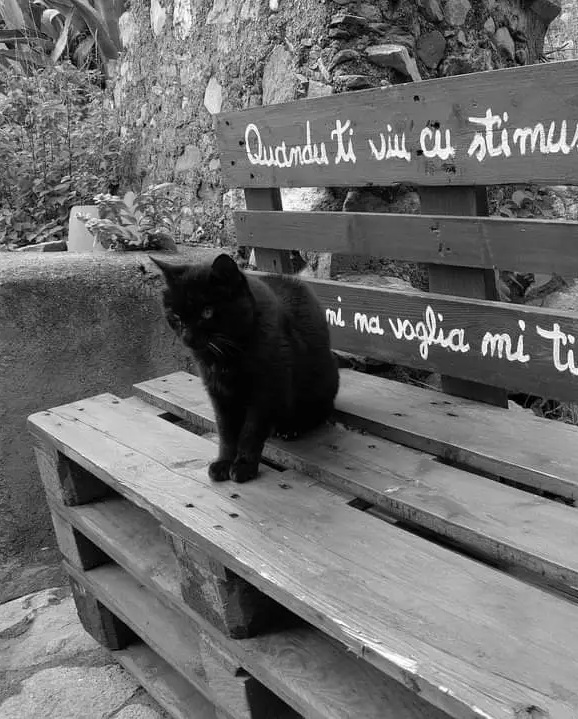 Pentedattilo panchina dei baci 2 a - Meraviglie di Calabria - 52