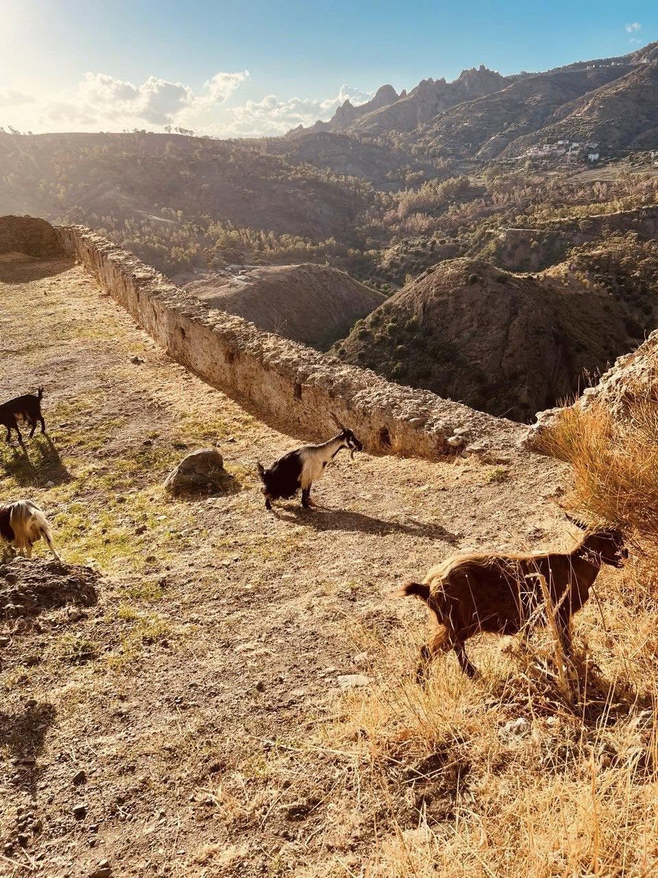 Pentedattilo ph Meraviglie 1 - Meraviglie di Calabria - 56