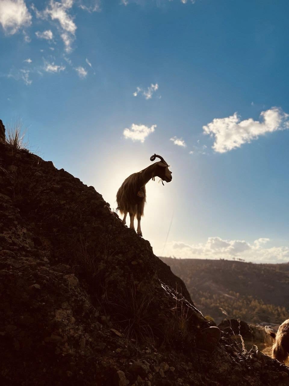 Pentedattilo ph Meraviglie 2 - Meraviglie di Calabria - 58
