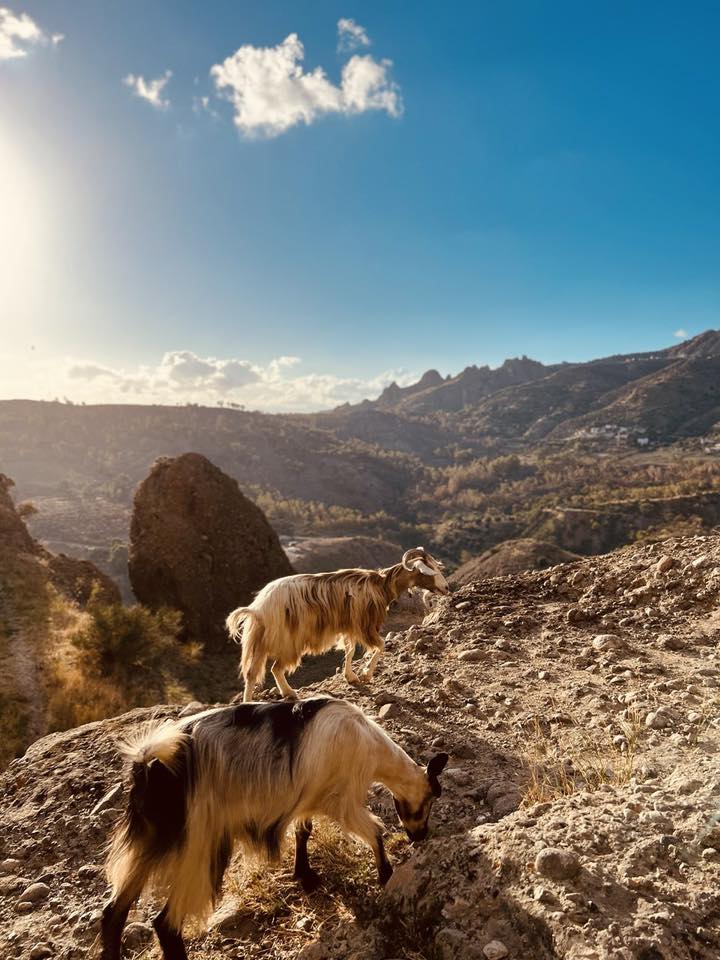 Pentedattilo ph Meraviglie 3 - Meraviglie di Calabria - 60