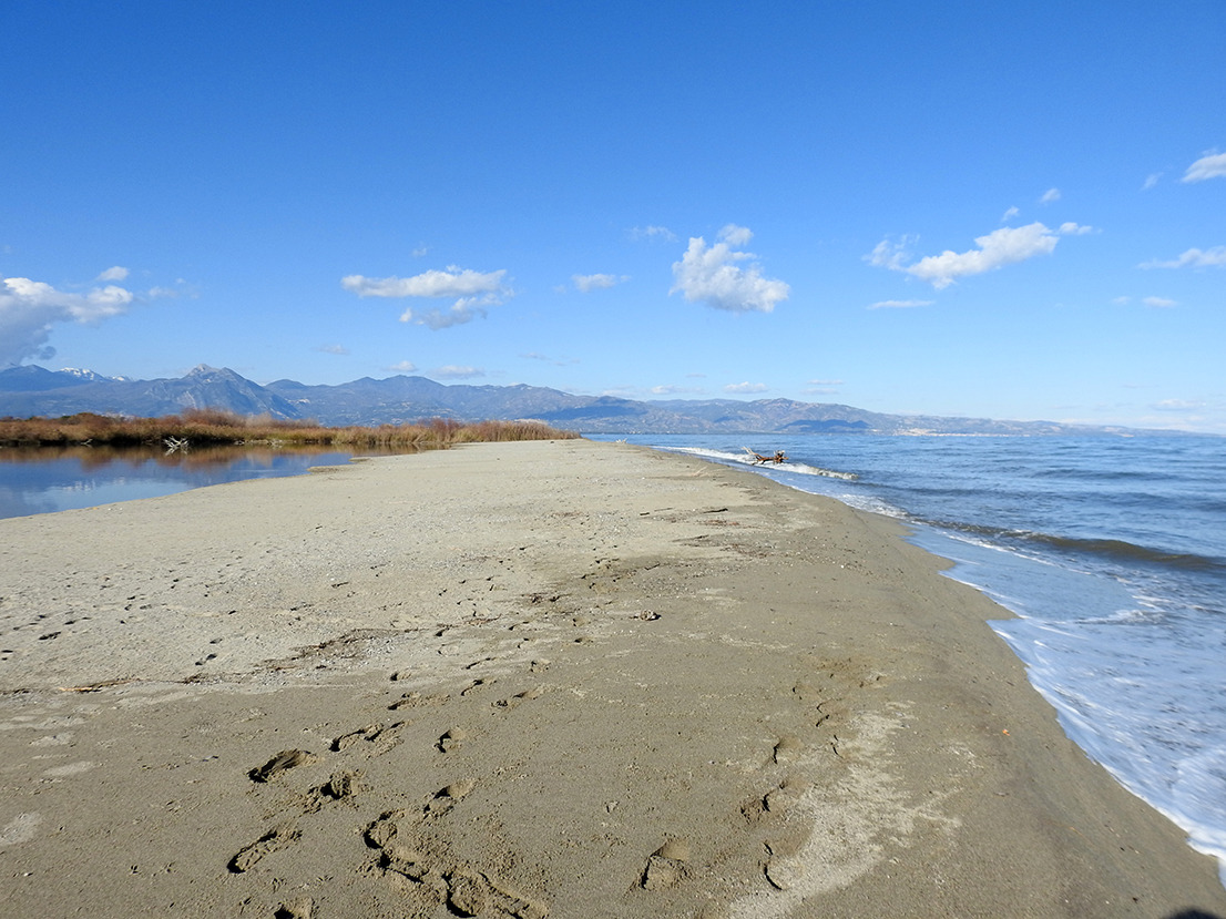 RISERVA TARSIA ACQUA E FORESTA 1 - Lago di Tarsia e Foce del Crati, 200 ragazzi ne studiano l'ambiente - 11 RISERVA TARSIA ACQUA E FORESTA 1 - Meraviglie di Calabria - 10