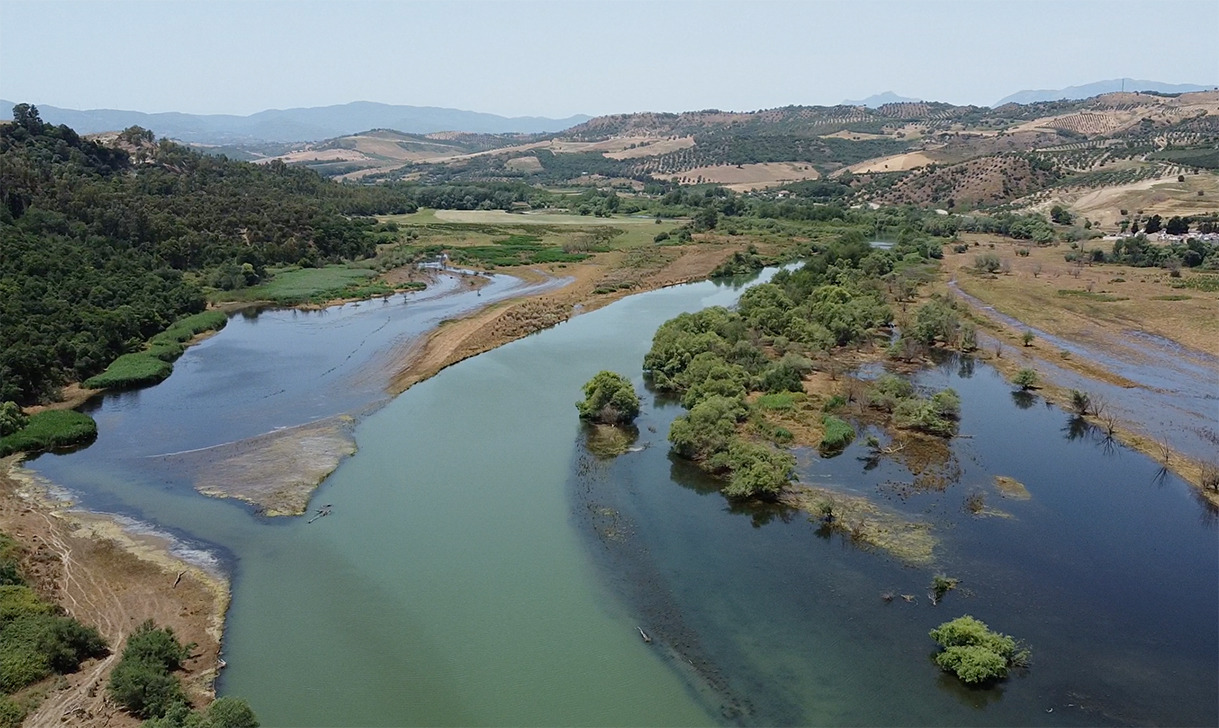 RISERVA TARSIA ACQUA E FORESTA 10 - Lago di Tarsia e Foce del Crati, 200 ragazzi ne studiano l'ambiente - 13 RISERVA TARSIA ACQUA E FORESTA 10 - Meraviglie di Calabria - 12