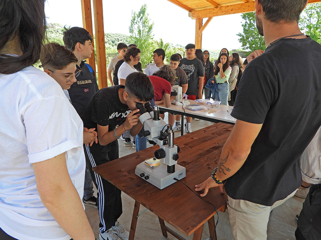 RISERVA TARSIA ACQUA E FORESTA 3 - Lago di Tarsia e Foce del Crati, 200 ragazzi ne studiano l'ambiente - 7 RISERVA TARSIA ACQUA E FORESTA 3 - Meraviglie di Calabria - 6