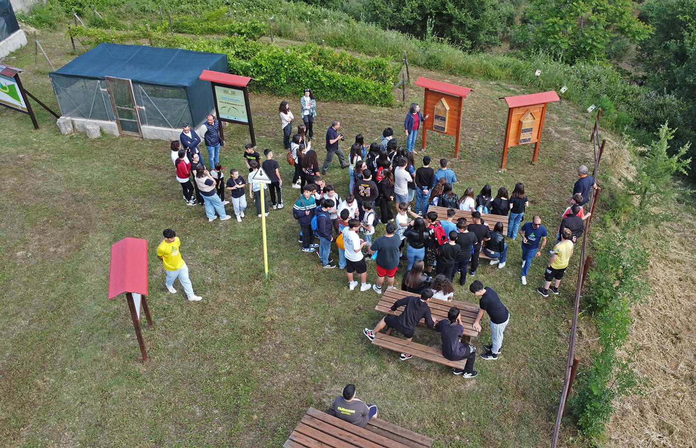 RISERVA TARSIA ACQUA E FORESTA 5 - Lago di Tarsia e Foce del Crati, 200 ragazzi ne studiano l'ambiente - 5 RISERVA TARSIA ACQUA E FORESTA 5 - Meraviglie di Calabria - 4