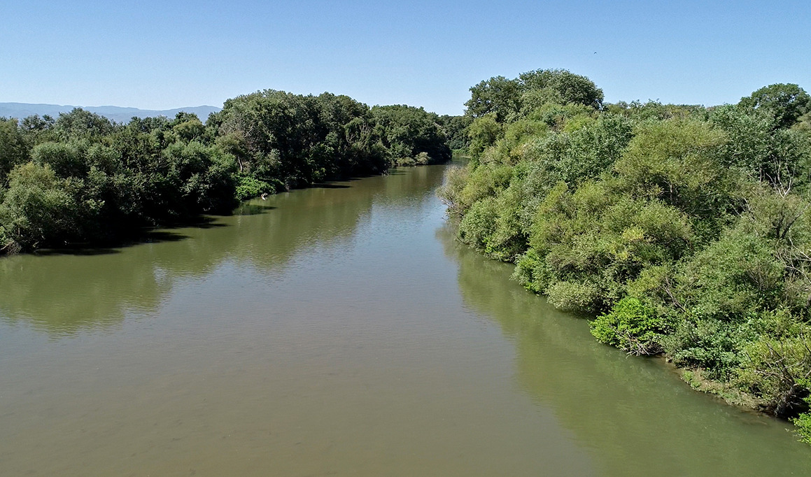 RISERVA TARSIA ACQUA E FORESTA 7 - Lago di Tarsia e Foce del Crati, 200 ragazzi ne studiano l'ambiente - 15 RISERVA TARSIA ACQUA E FORESTA 7 - Meraviglie di Calabria - 14