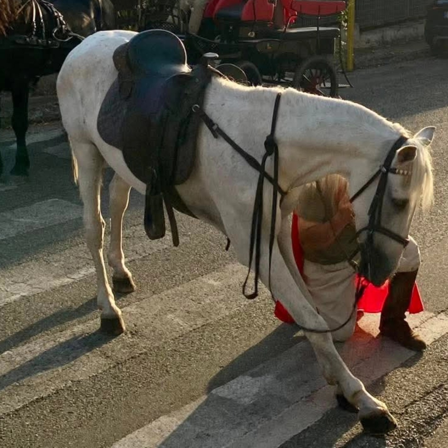 San Fantino Festa 24 luglio - Meraviglie di Calabria - 18