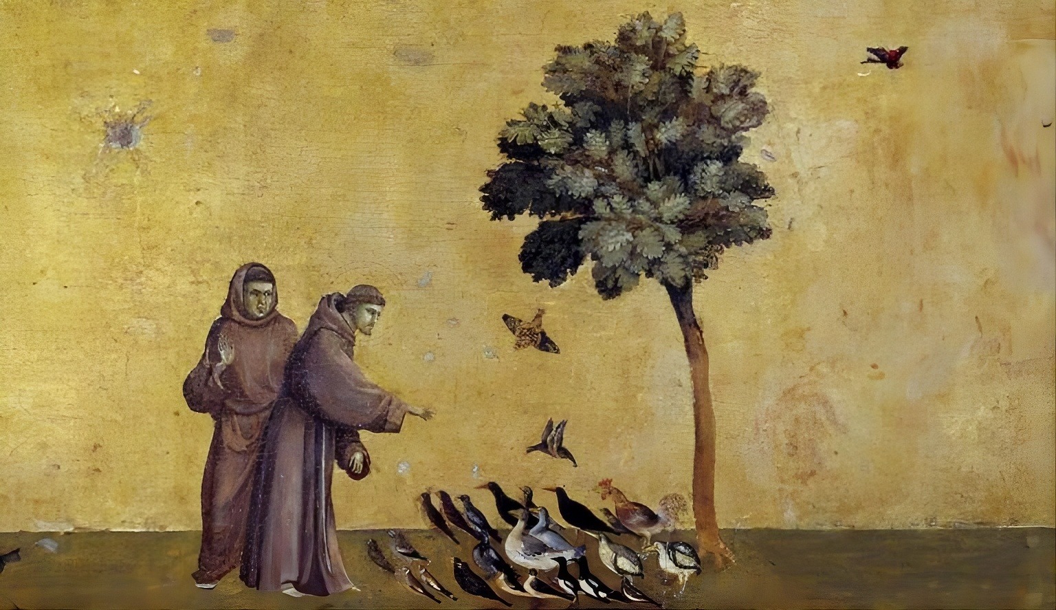 La reliquia della terra del transito di San Francesco d’Assisi a Lamezia