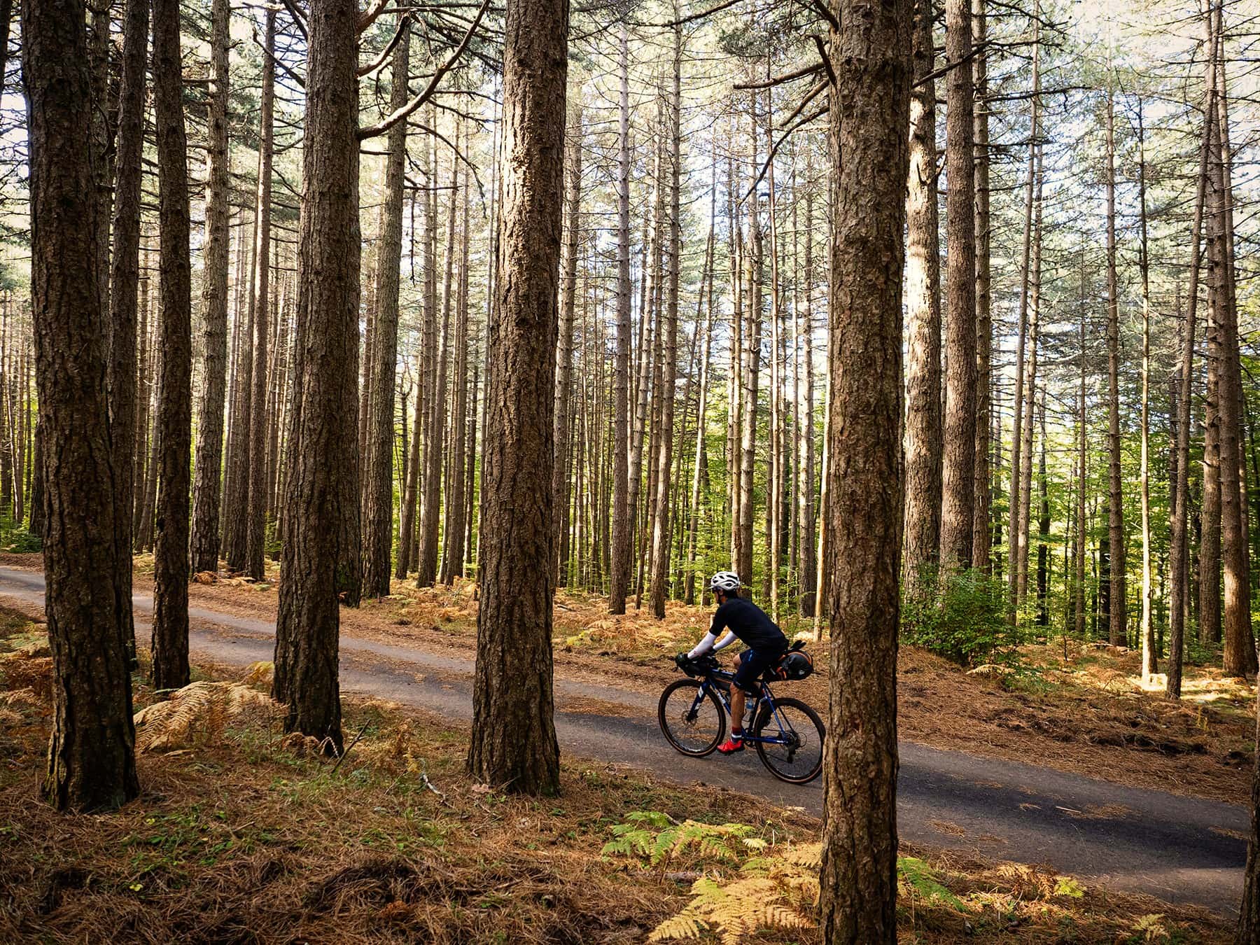 La Ciclovia dei Parchi della Calabria conquista la Fiera del Cicloturismo
