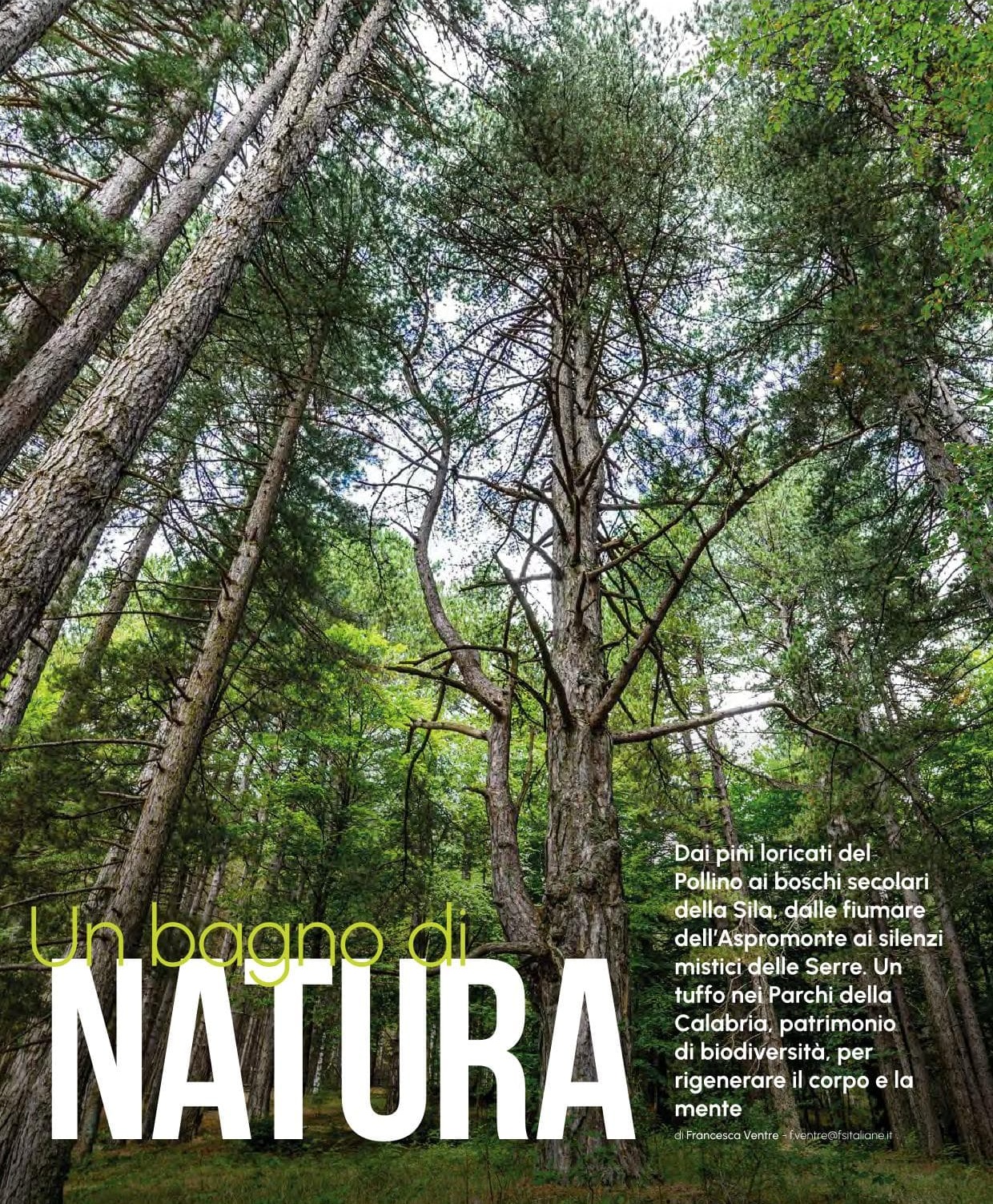 estratto LF Marzo26 WEB4 1 a - Sul magazine di Trenitalia i Parchi calabresi tra le mete di primavera - 5 estratto LF Marzo26 WEB4 1 a - Meraviglie di Calabria - 4