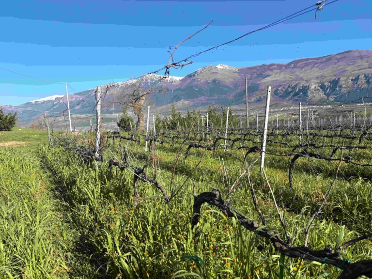 Premio "Carta dei Vini  Spirito Slow" di Slow Wine a Catasta