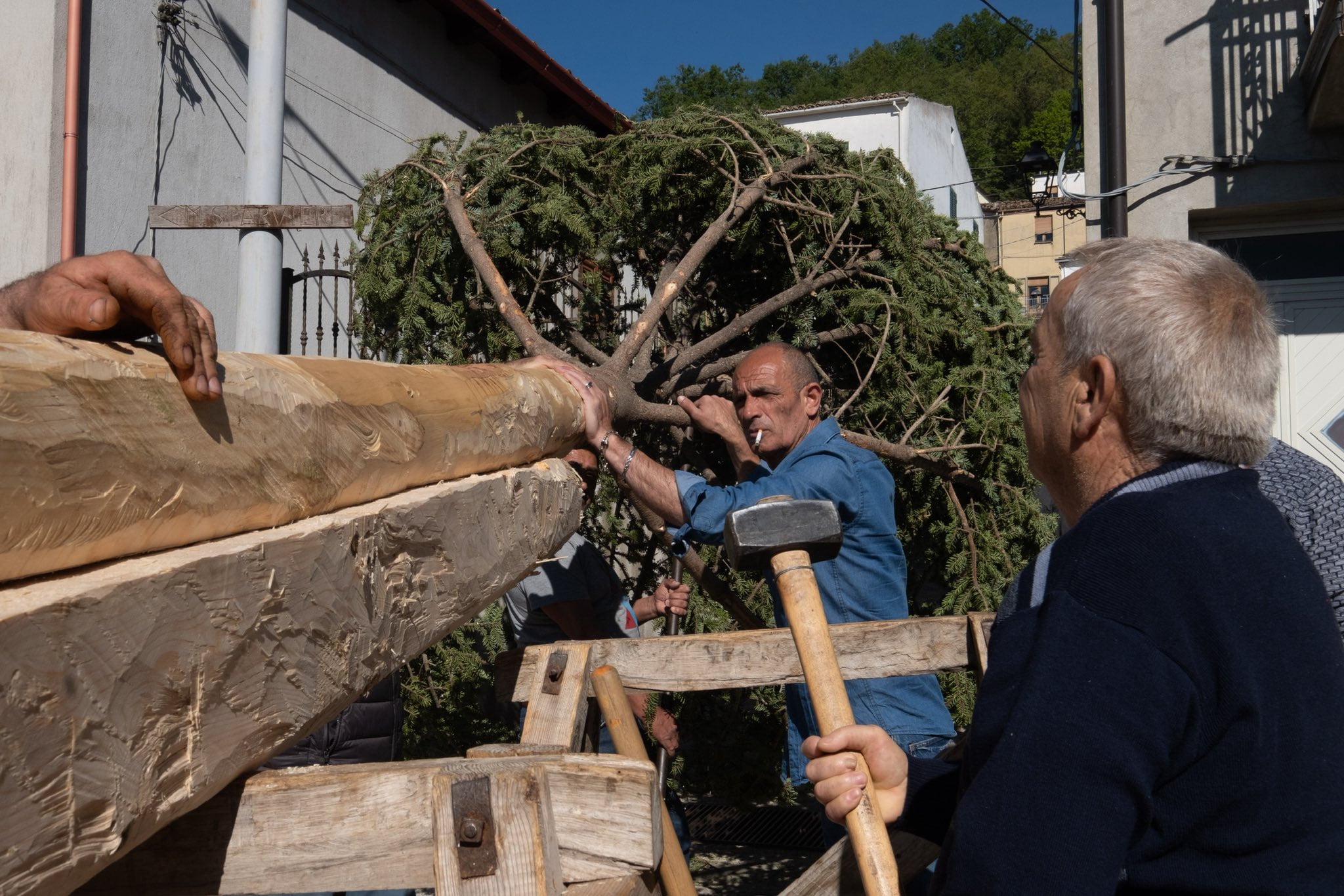 Alessandria del carretto 11 - Meraviglie di Calabria - 14