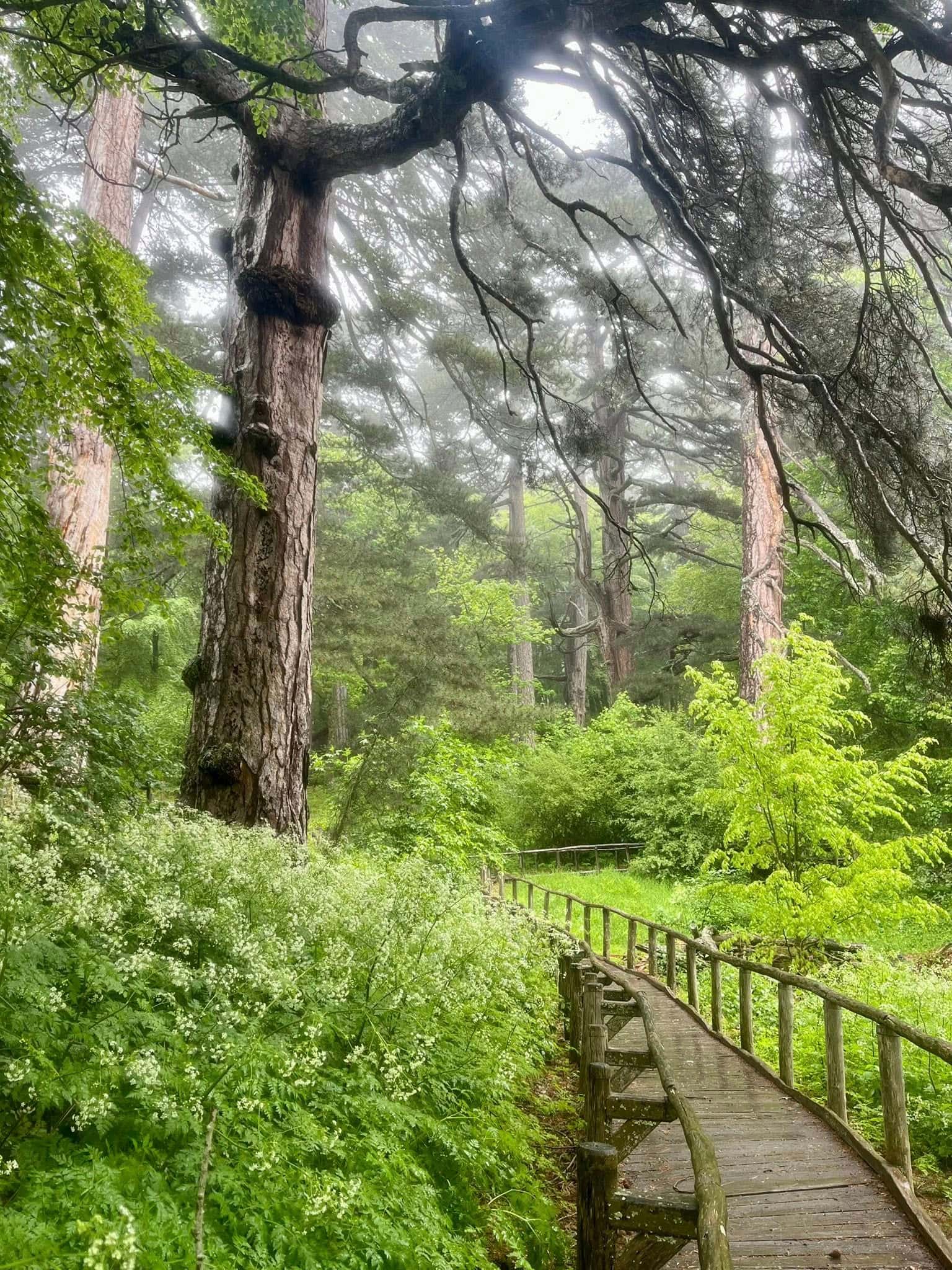 Ciclovia Parchi Denis Falconieri 4 - Meraviglie di Calabria - 4