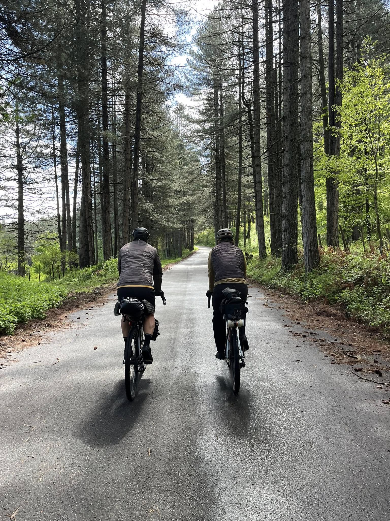 Ciclovia Parchi Denis Falconieri 5 - Meraviglie di Calabria - 2