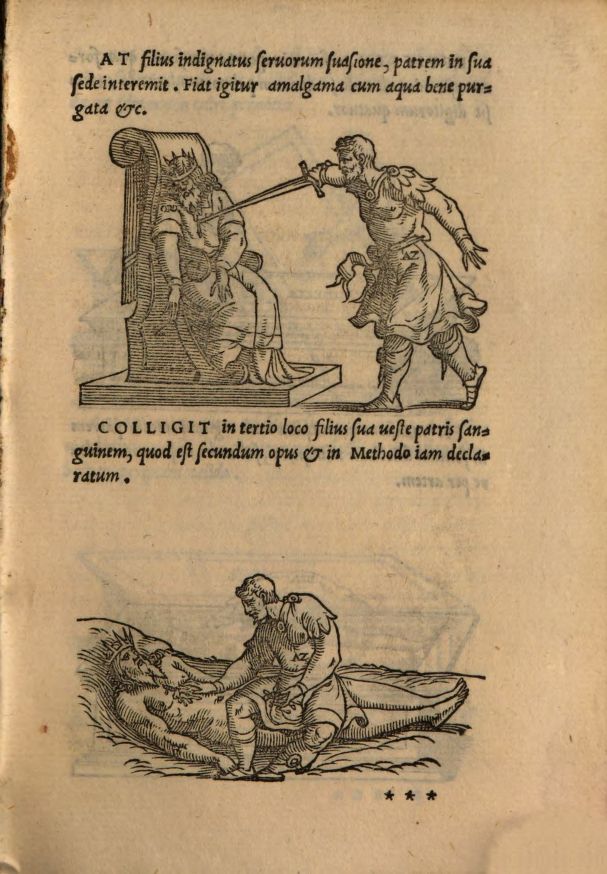 Ciro Giano Lacinio Pretiosa Margarita Novella 1546 4 - Meraviglie di Calabria - 18