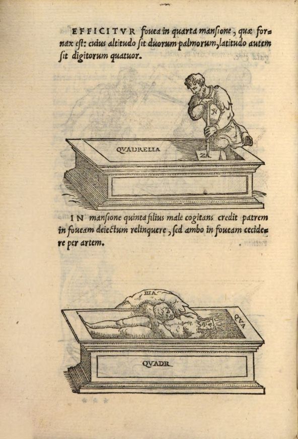 Ciro Giano Lacinio Pretiosa Margarita Novella 1546 5 - Meraviglie di Calabria - 20