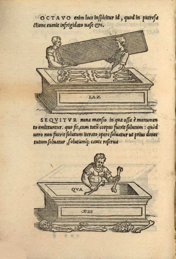 Ciro Giano Lacinio Pretiosa Margarita Novella 1546 7 - Meraviglie di Calabria - 22