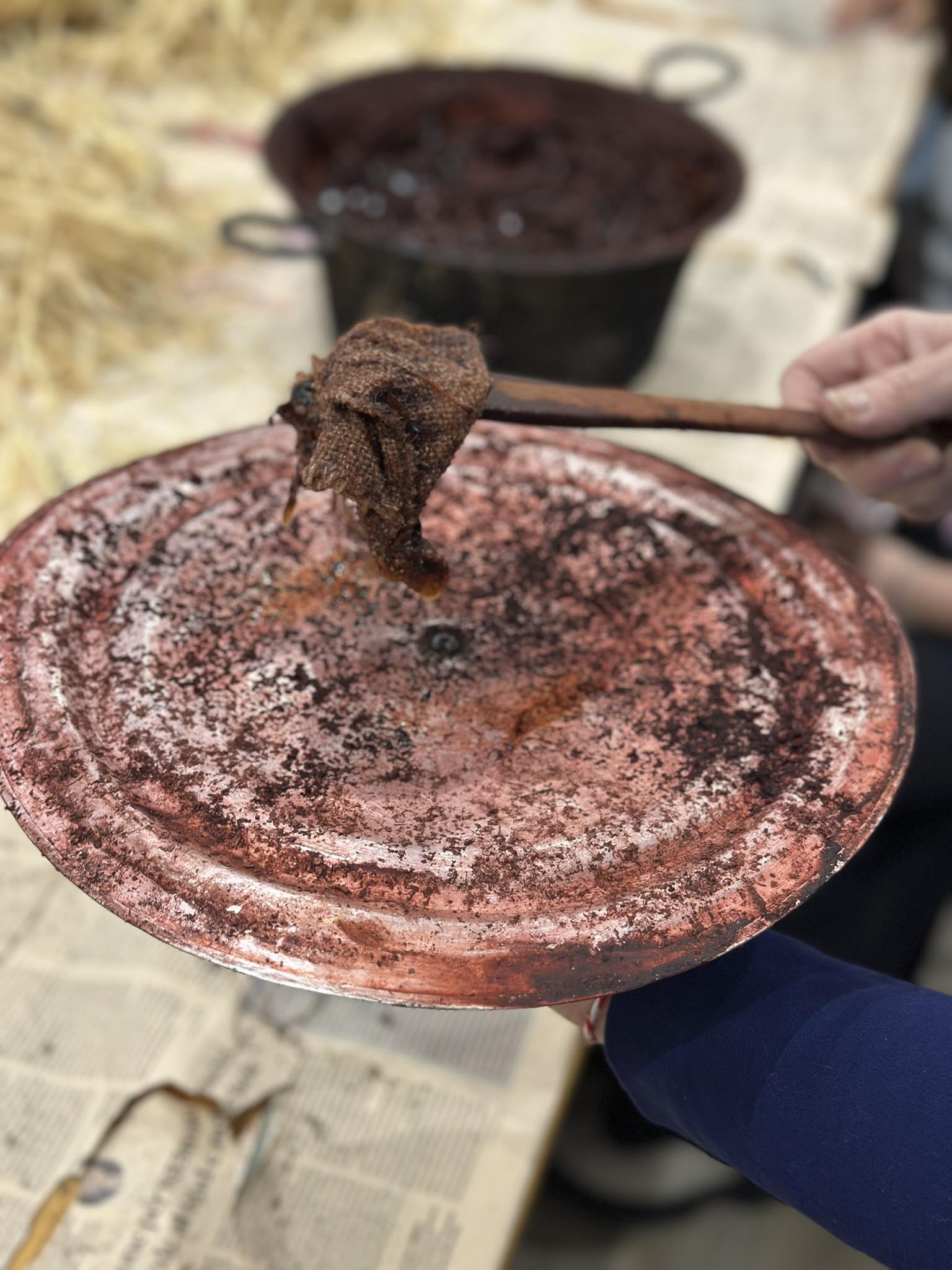 Fili meridiani laboratorio piante tintorie 4 - Meraviglie di Calabria - 16