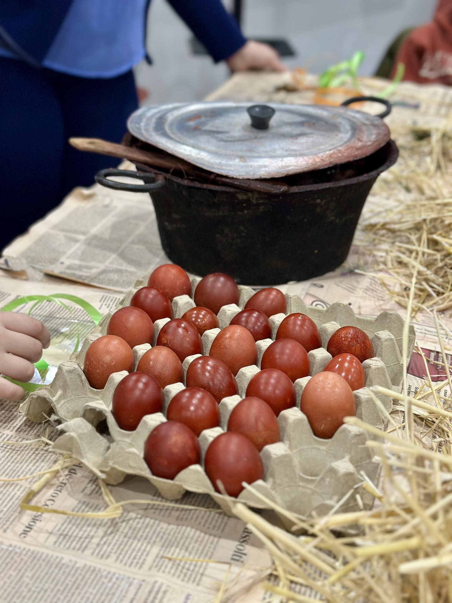 Fili meridiani laboratorio piante tintorie 5 - Meraviglie di Calabria - 18