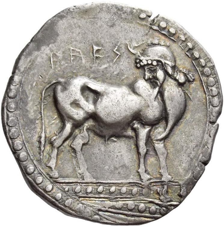 Laos toro androprosopo retrospiciente a - Meraviglie di Calabria - 4