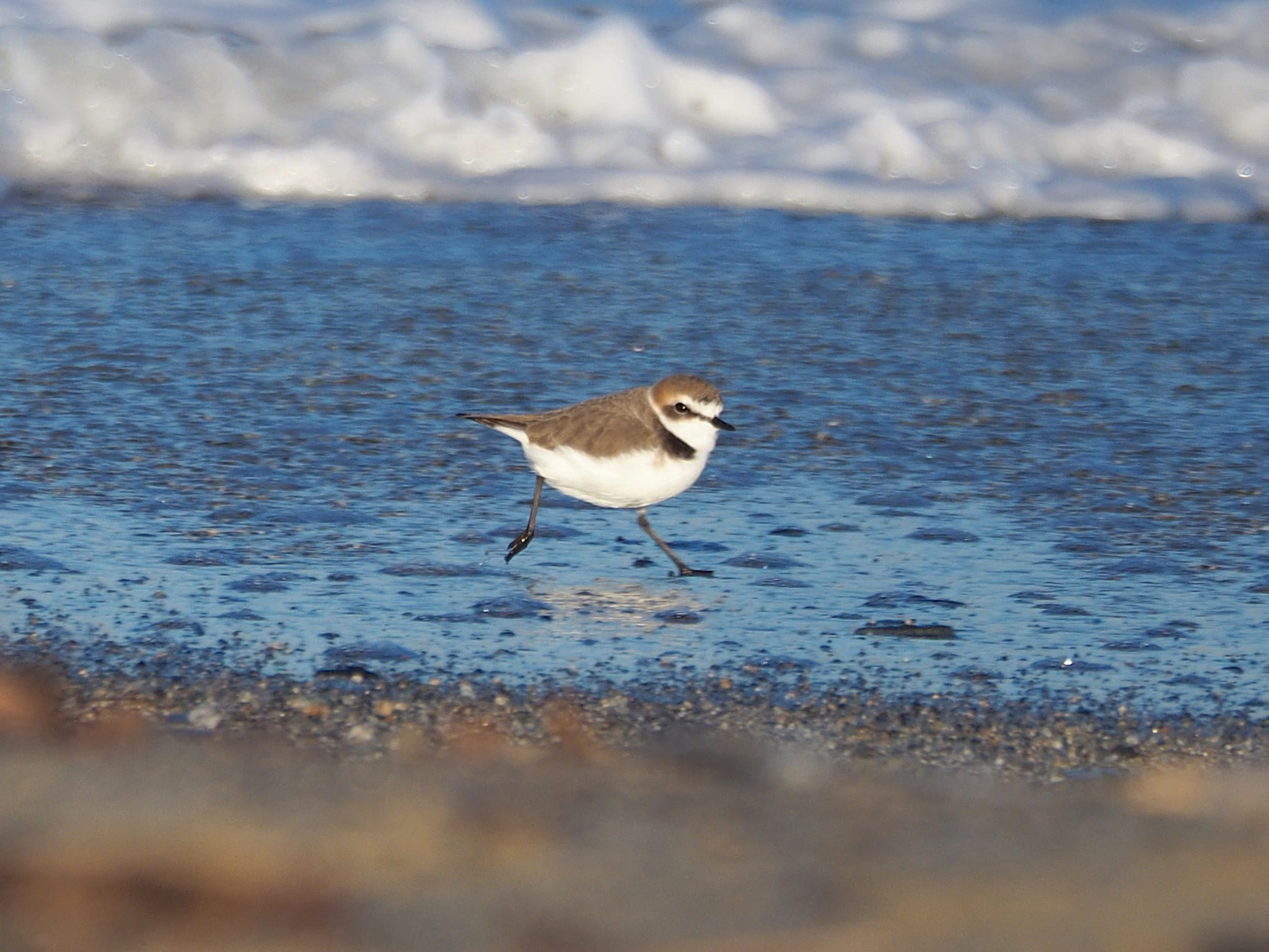 Lipu Fratino Foto Rosario Balestrieri 2 - Meraviglie di Calabria - 16
