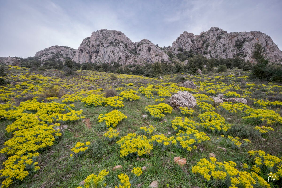 Escursioni con Gente in Aspromonte, alla scoperta dei Piani di Rufo