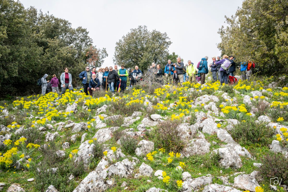 Montagna Piani di Rufo Monte Mammicomito 2 - Meraviglie di Calabria - 4
