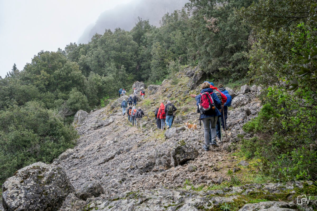 Montagna Piani di Rufo Monte Mammicomito 3 - Meraviglie di Calabria - 8
