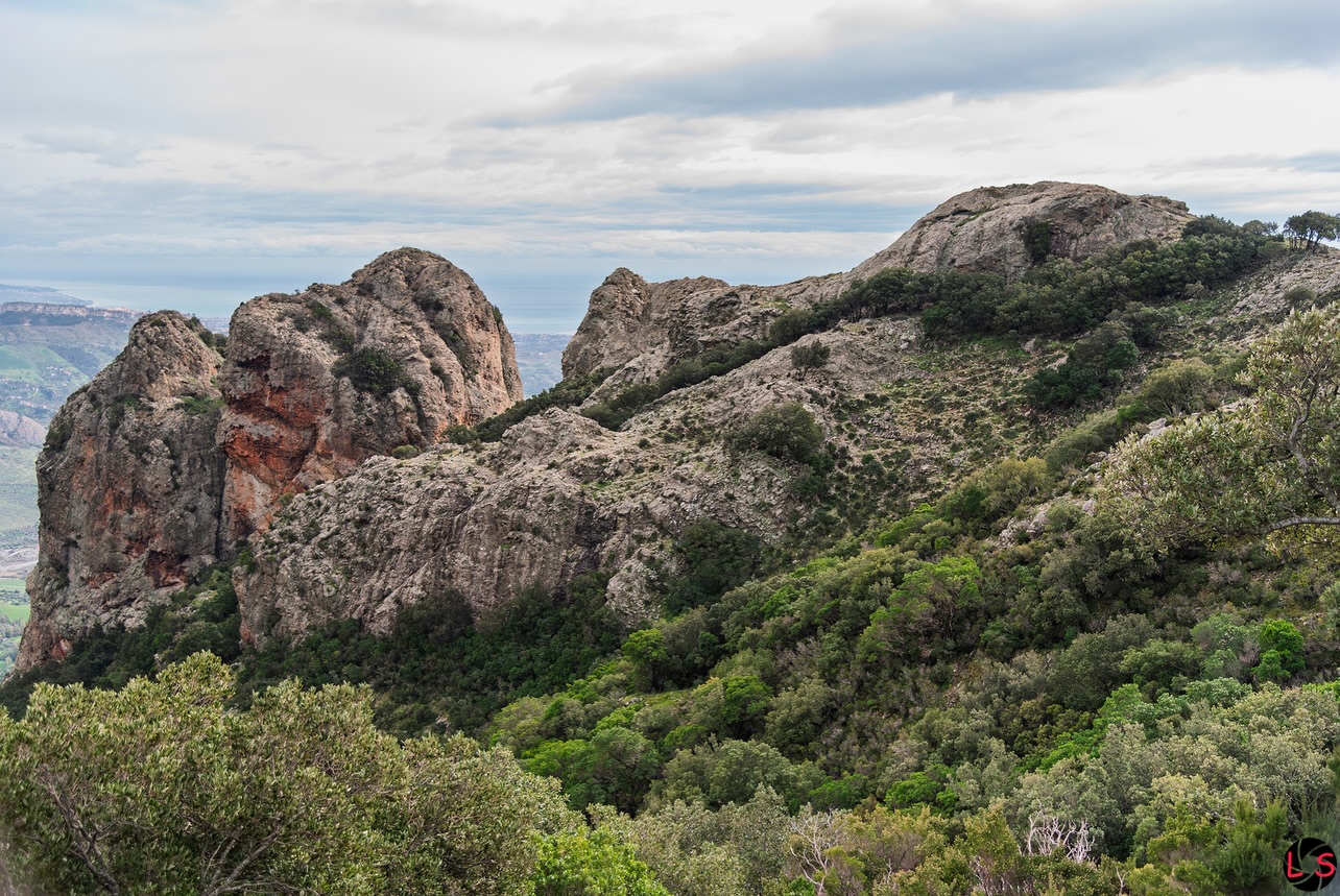 Montagna Piani di Rufo Monte Mammicomito 6 - Meraviglie di Calabria - 2