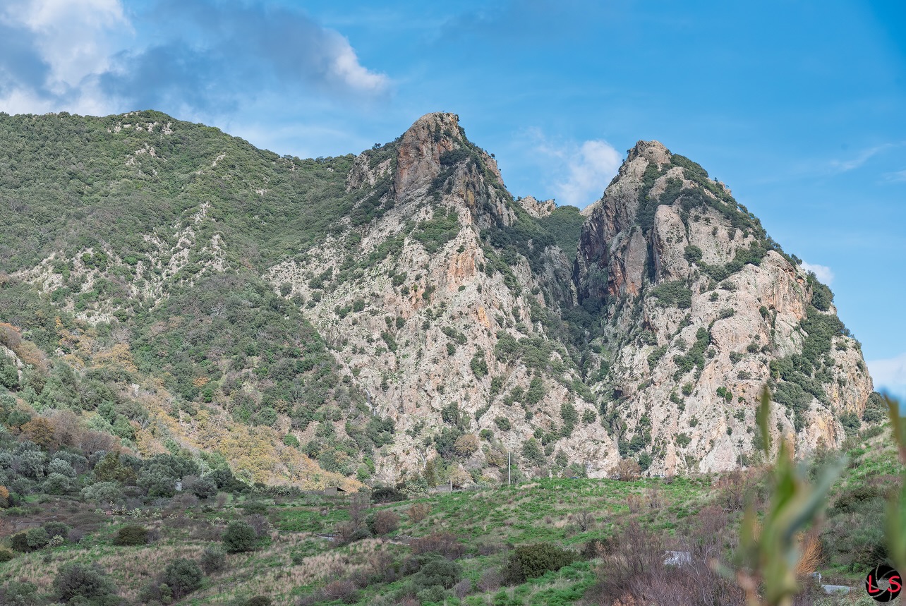 Montagna Piani di Rufo Monte Mammicomito 9 - Meraviglie di Calabria - 10