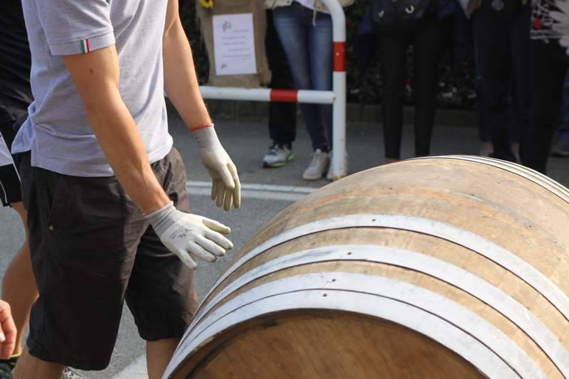 Mormanno Palio delle botti q - Meraviglie di Calabria - 8