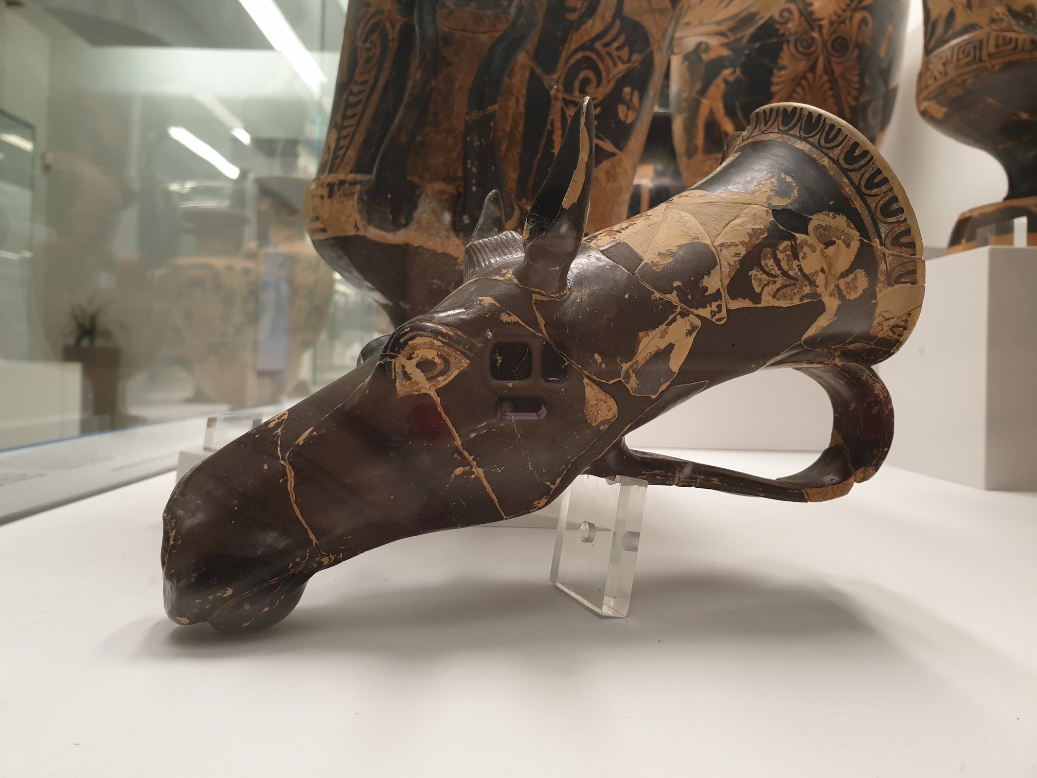 Museo reggio da Laos rhyton a figure rosse a testa di mulo di produzione apula e databile alla seconda meta del IV sec. a.C - Meraviglie di Calabria - 8