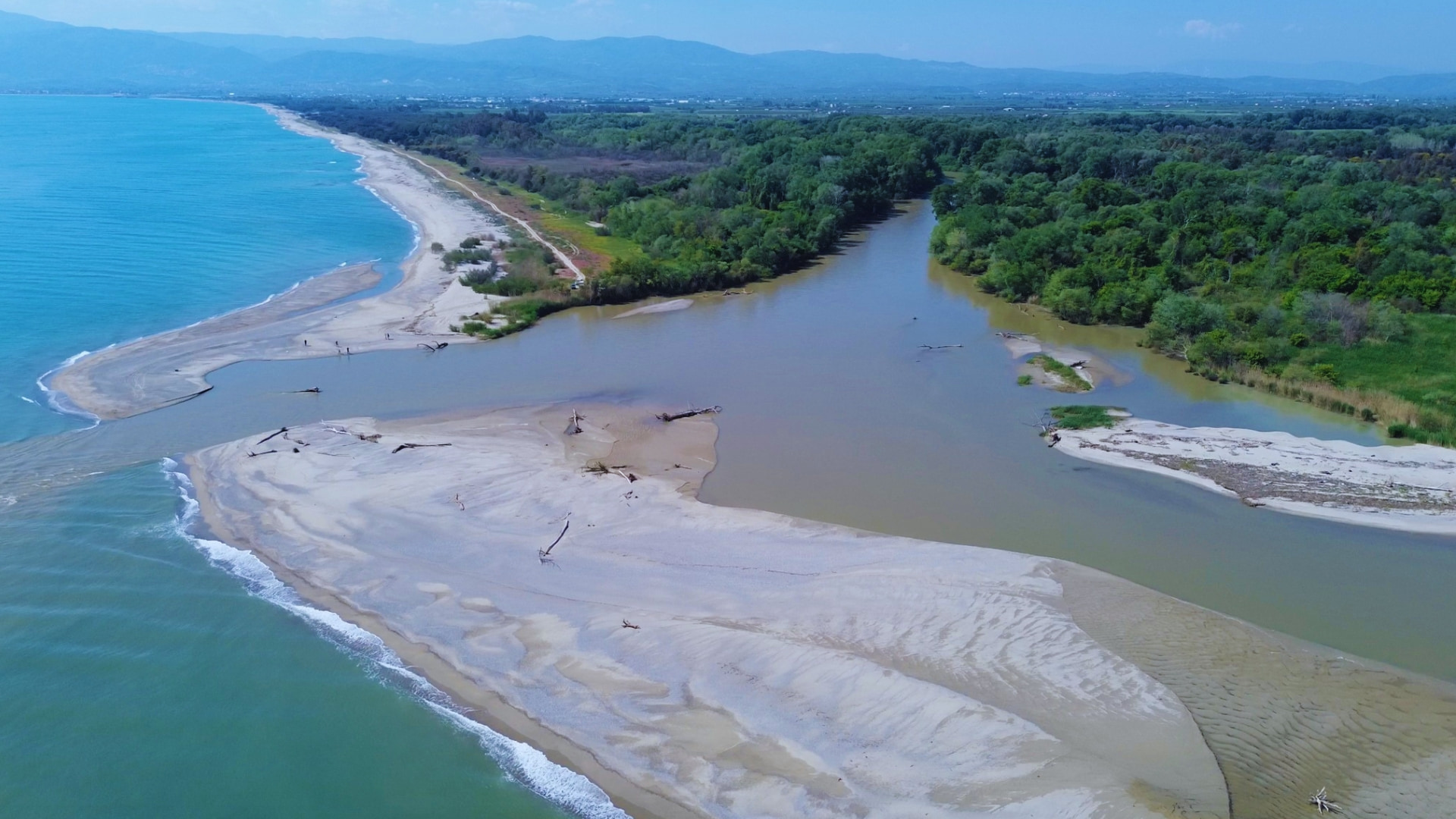 Riserva naturale della Foce del Crati 1 a - Meraviglie di Calabria - 6