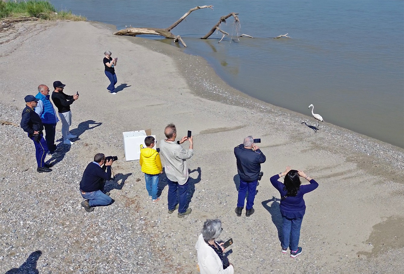 Riserva naturale della Foce del Crati 3 - Meraviglie di Calabria - 4