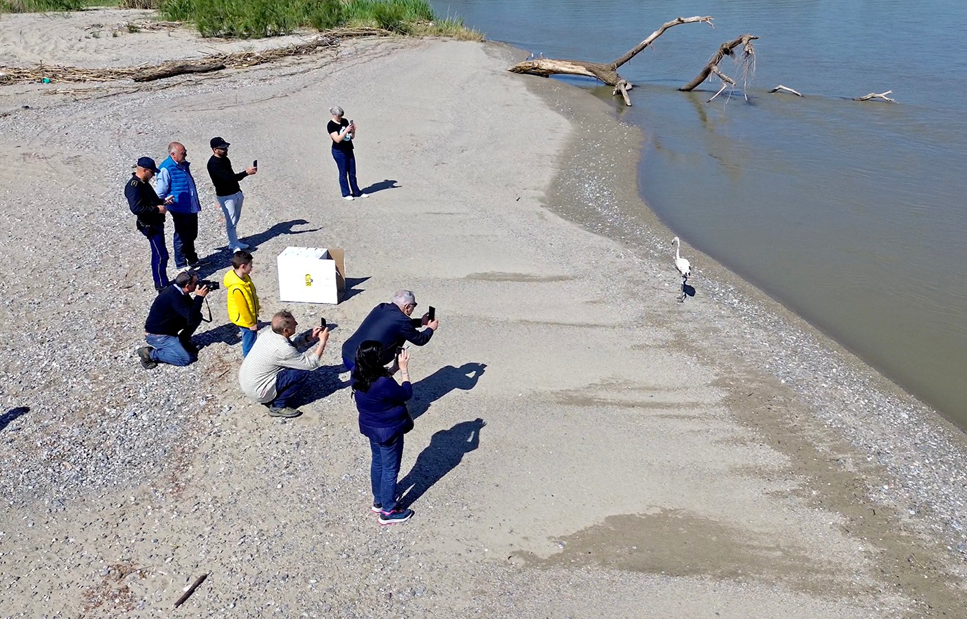 Riserva naturale della Foce del Crati 4 - Meraviglie di Calabria - 2