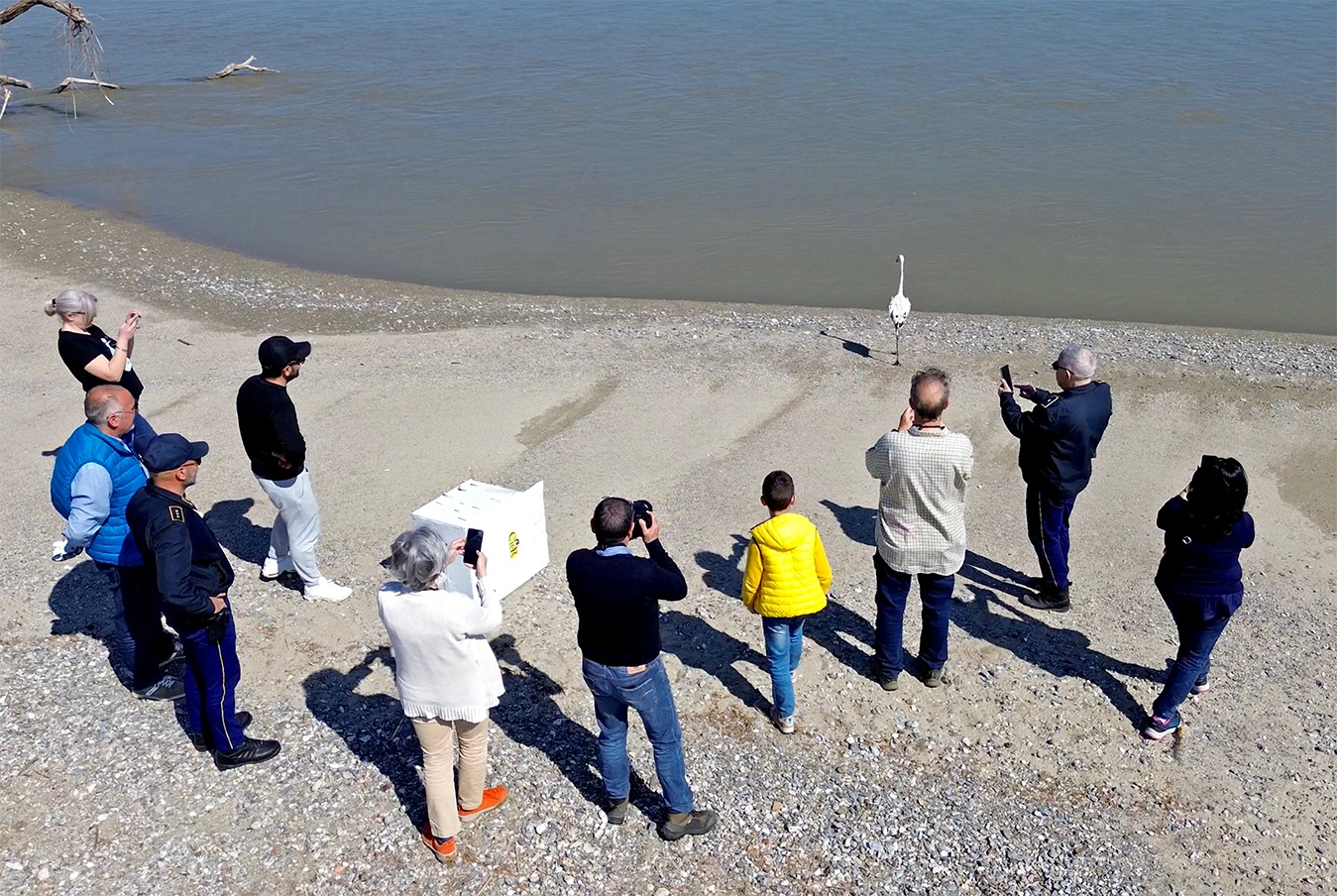 Riserva naturale della Foce del Crati 5 - Meraviglie di Calabria - 10