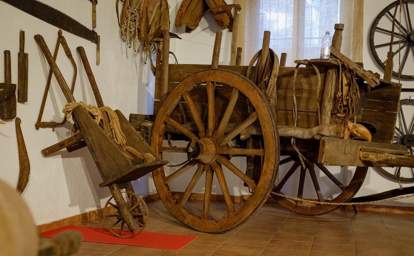 A Santa Sofia d’Epiro inaugurato il Museo Civico Moti i Madh